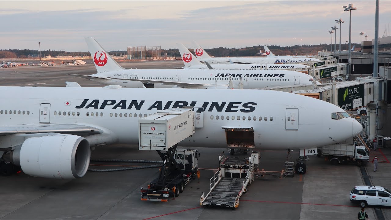 Japan Airlines lax airport
